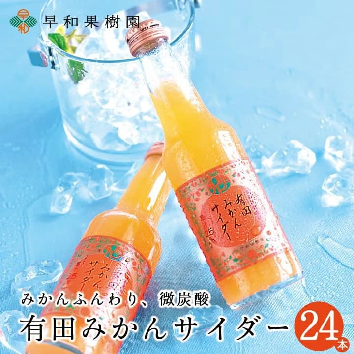 24本