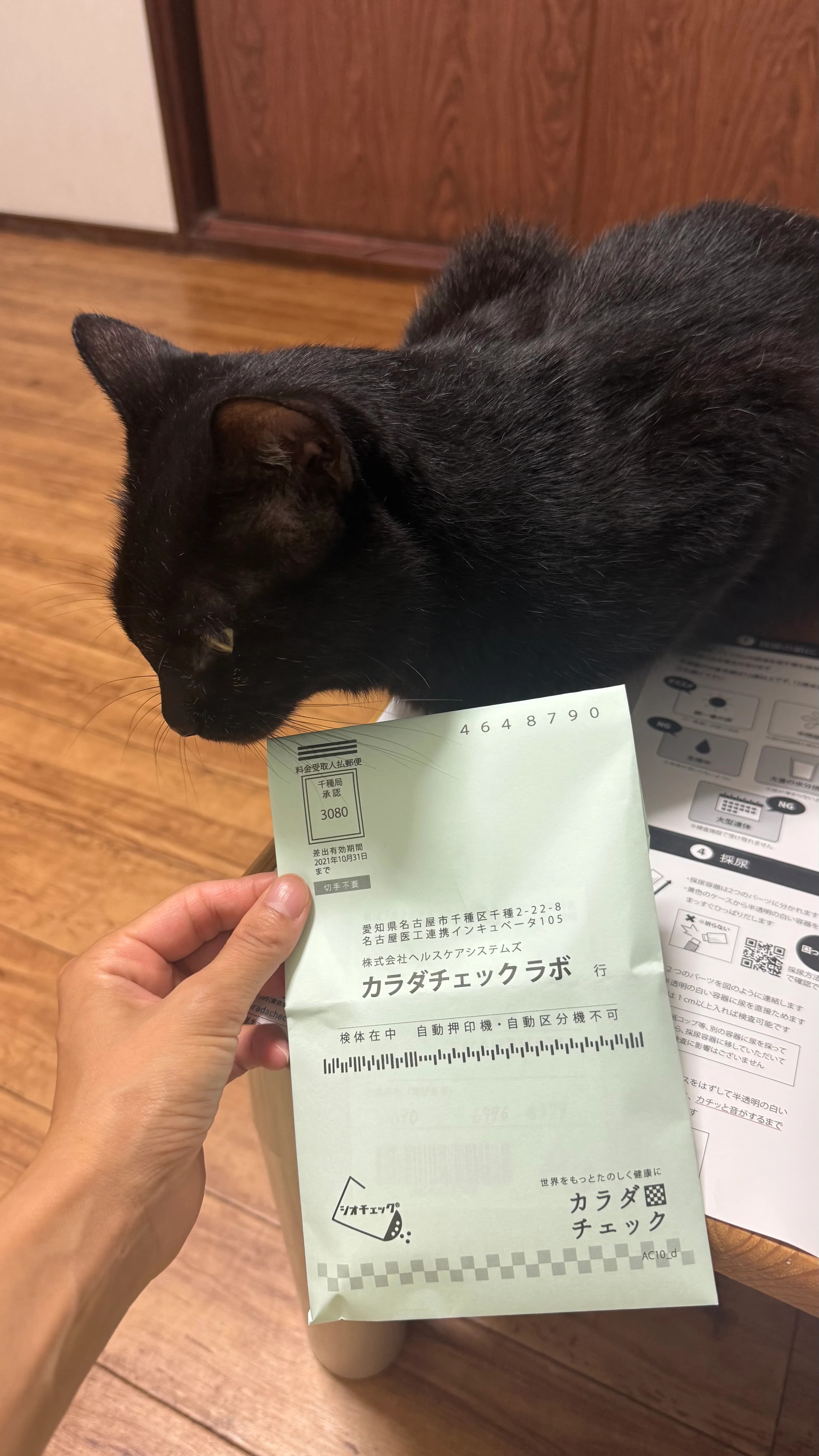レビュー写真
