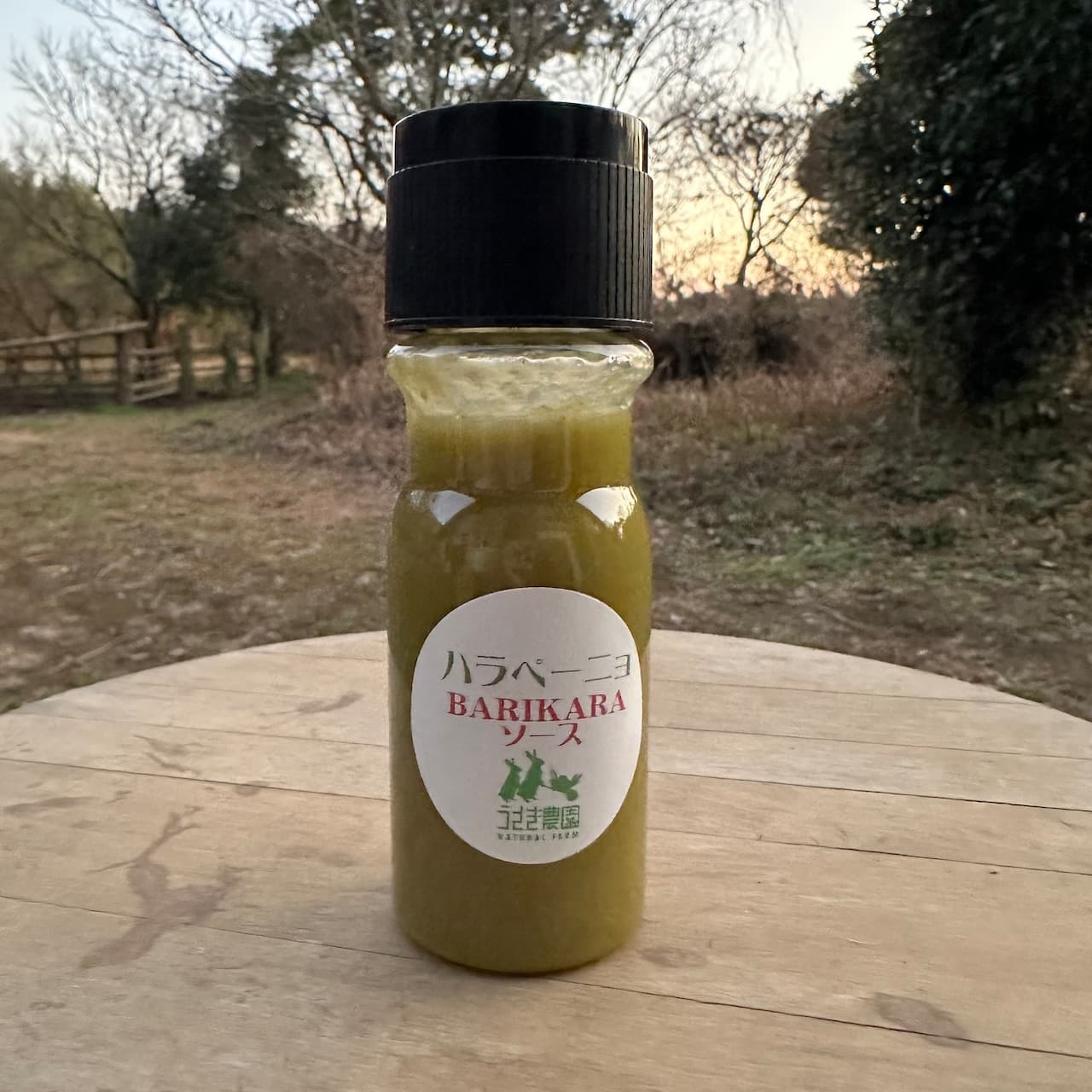 BARIKARAソース