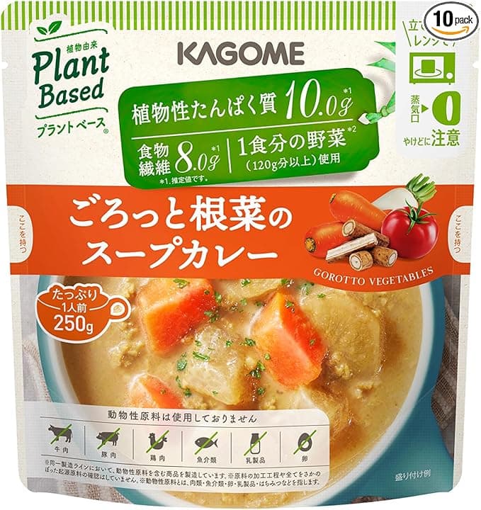 ごろっと根菜のスープカレー