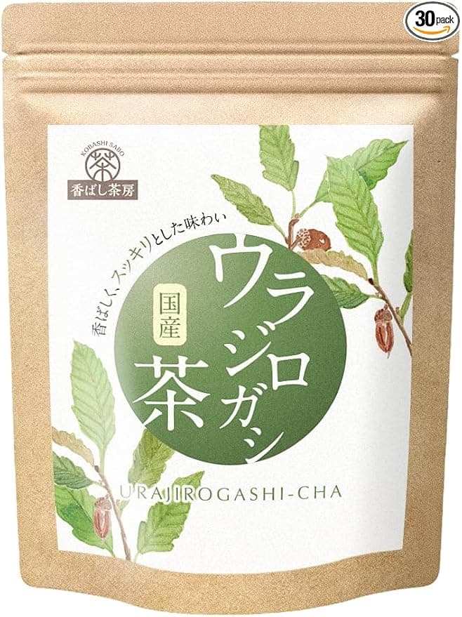 国産 ウラジロガシ茶