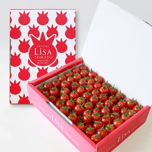 リサ･ミニトマト約1㎏【ご家庭用】