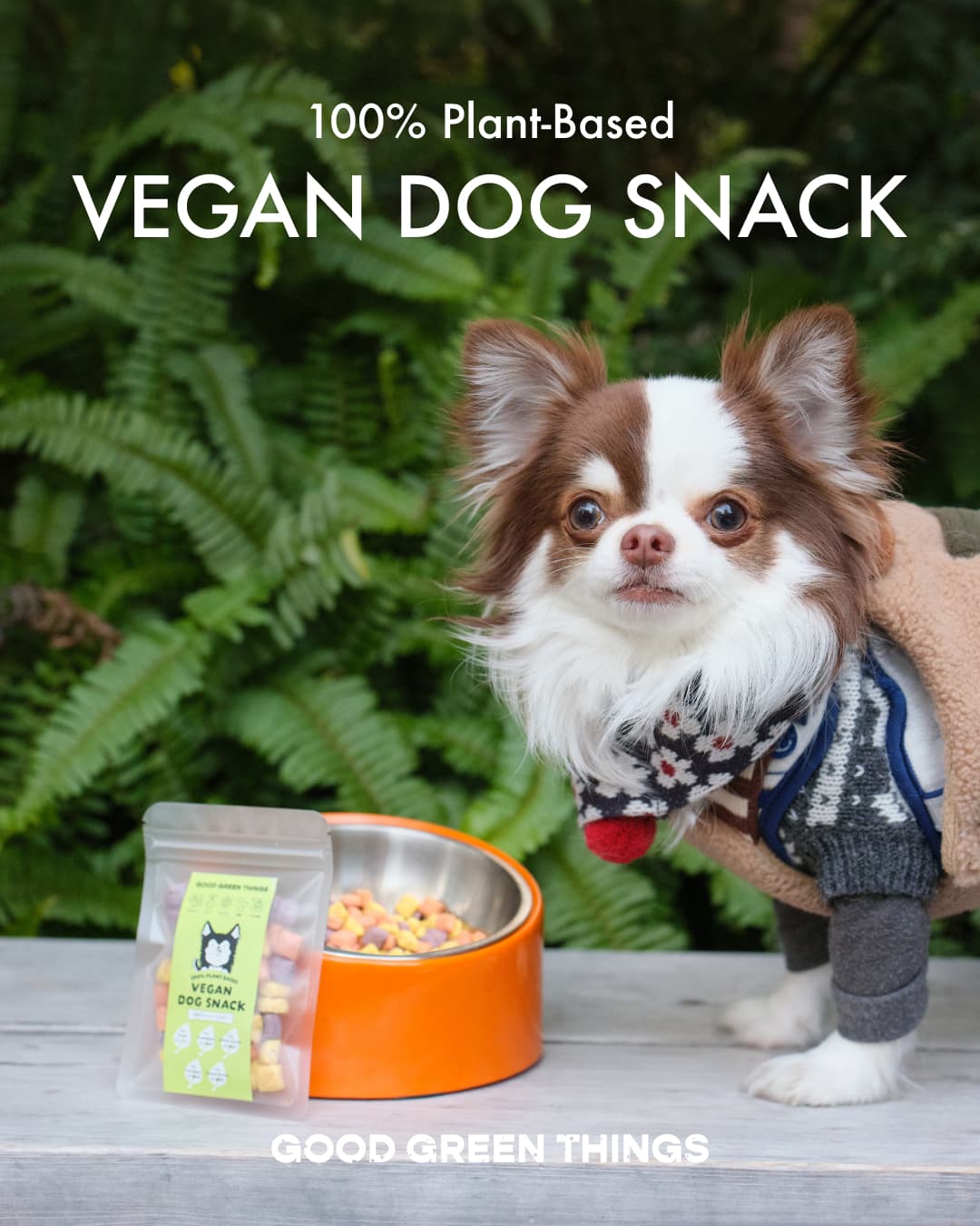 100% PLANT BASED VEGAN DOG SNACK　