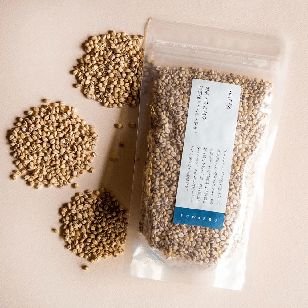 四国産 もち麦（ダイシモチ）