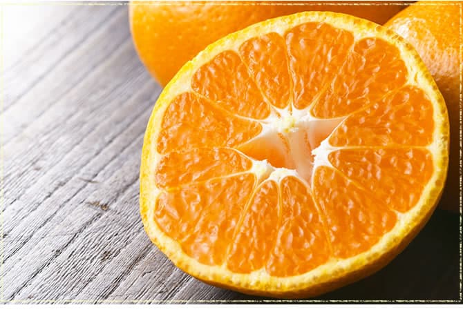 新堂みかん（S～M～Lサイズ混合）