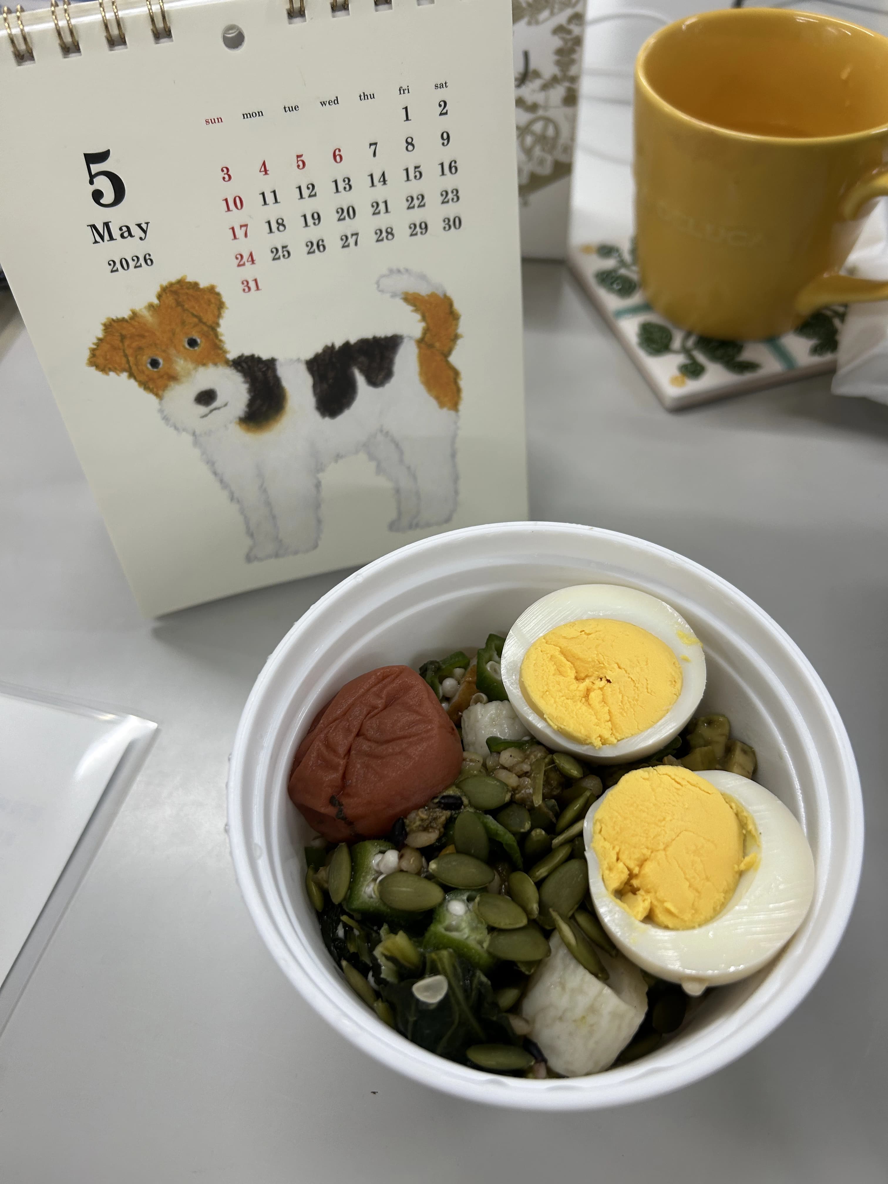 レビュー写真