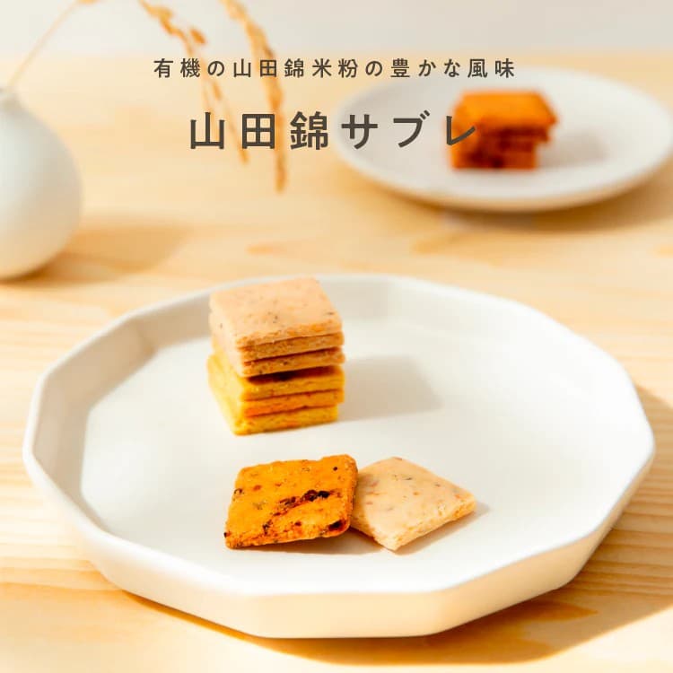 山田錦サブレ 【ターメリック】